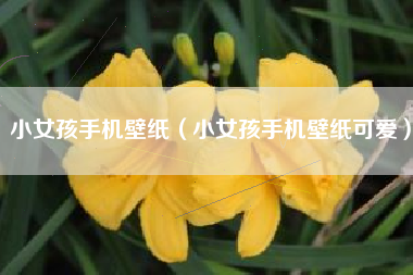 小女孩手机壁纸（小女孩手机壁纸可爱）