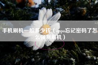 手机刷机一般多少钱（oppo忘记密码了怎么强制刷机）
