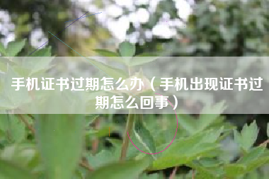 手机证书过期怎么办（手机出现证书过期怎么回事）