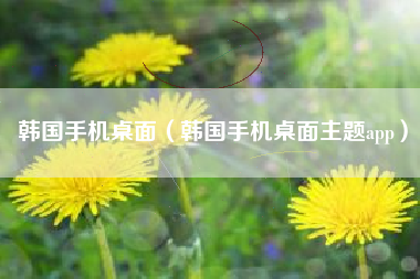 韩国手机桌面（韩国手机桌面主题app）