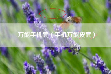 万能手机套（手机万能皮套）
