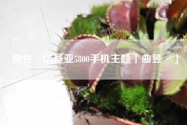 曲昱曈诺基亚5800手机主题「曲昱曈」