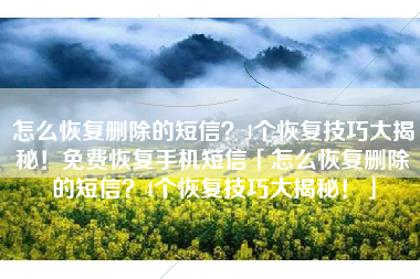 怎么恢复删除的短信？4个恢复技巧大揭秘！免费恢复手机短信「怎么恢复删除的短信？4个恢复技巧大揭秘！」