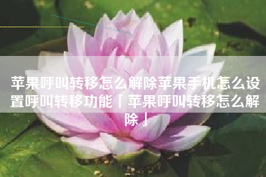 苹果呼叫转移怎么解除苹果手机怎么设置呼叫转移功能「苹果呼叫转移怎么解除」