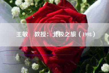 王敏幹教授：北极之旅（1998）