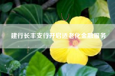 建行长丰支行开启适老化金融服务