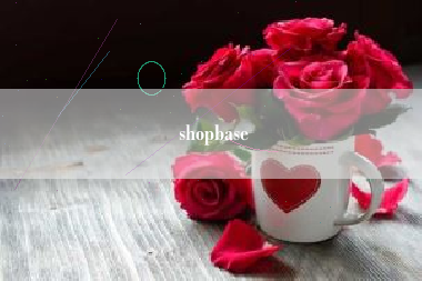 shopbase