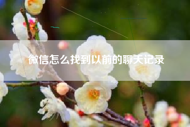 微信怎么找到以前的聊天记录
