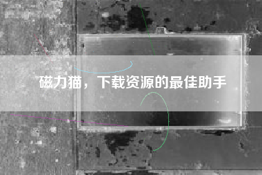 磁力猫，下载资源的最佳助手